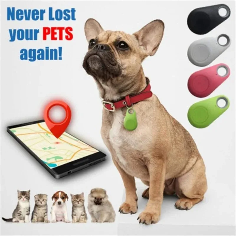 Mini Fashion Smart Dog Pets Bl – Compass Keychain Mini recenzja i cena