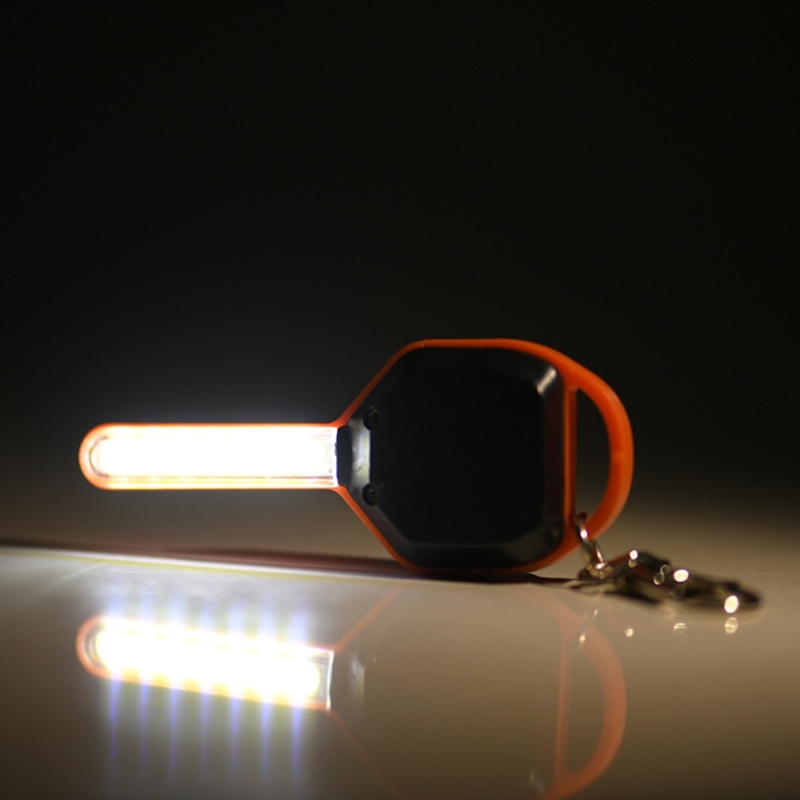 Mini Keychain  Keys Shape Mini – Compass Keychain Mini recenzja i cena