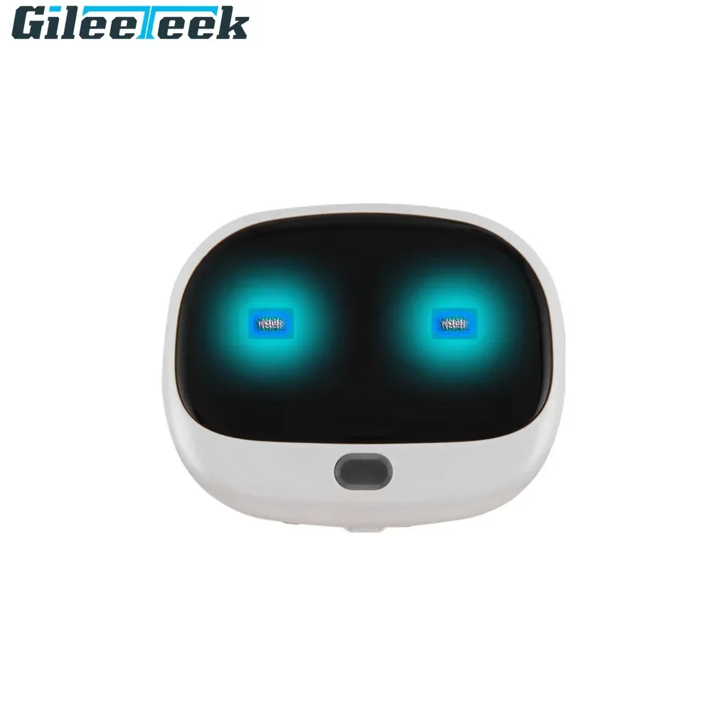 RF-V43 Mini 4G GPS Pets Tracke – Compass Keychain Mini recenzja i cena